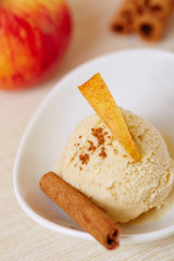 Apfel-Zimt-Eis mit Apfel und Zimtstange