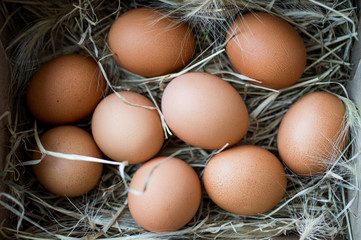 Chicken eggs in the nest view from above