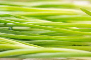 Bundle of green onions for background