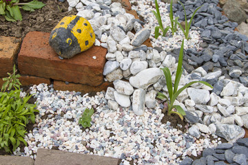 rock garden