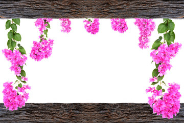 Design wooden photo frames with Bougainvillea flower branches is