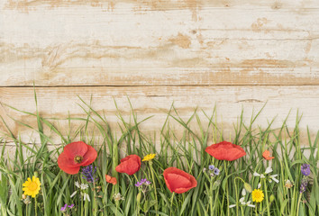 Holzhintergrund mit sommerlicher Blumenwiese