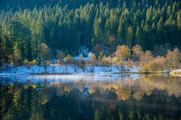 Sankenbachsee, Baiersbronn