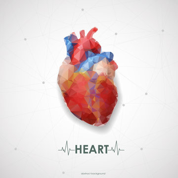 Abstract colored polygonal triangular human heart. Vector illust