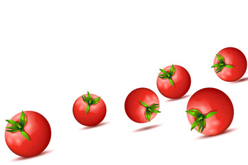 tomatos 13