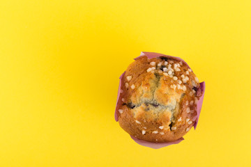 Blueberry Muffin