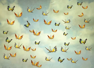 Papier Peint photo Lavable Surréalisme Papillons dans le ciel