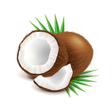 Coconut and slice isolated on white vector