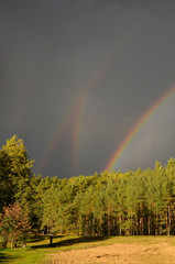 Tęcza © Dejan Gospodarek