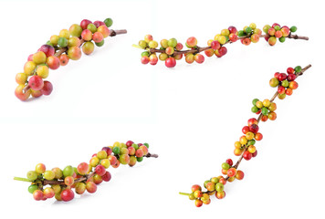 fresh raw coffee beans isolated on white background