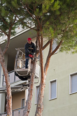 Worker pruner on the boom lift