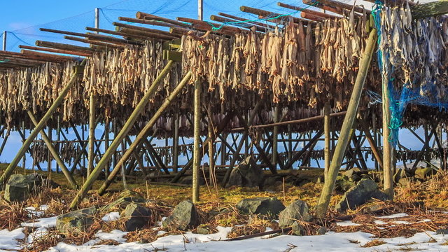 dried cod fish norway