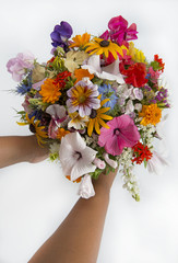 holding a summer flower bouquet at white background