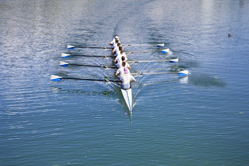 Boat coxed eight Rowers rowing