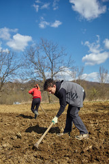 Family of peasants sowing potatoes