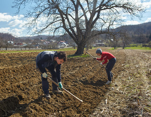 Family of peasants sowing potatoes