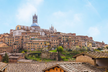 Naklejka na ściany i meble Cityscape of Siena in Tuscany, Italy.