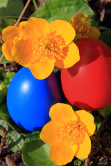 OstereierBluetenStadtpark