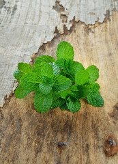 mint isolated on wood background