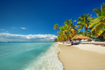 Plakaty  Krajobraz rajskiej tropikalnej plaży na wyspie
