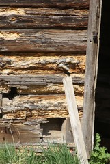 Altes Holz