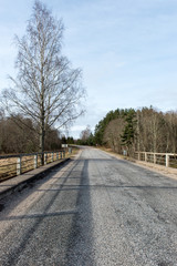 empty country road in spring