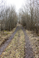 Obraz premium empty country road in spring