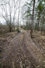 Fototapeta premium empty country road in spring