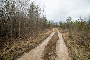 empty country road in spring