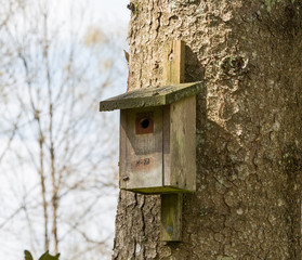 Vogelhäuschen