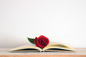 A red rose flower on an open book, centered
