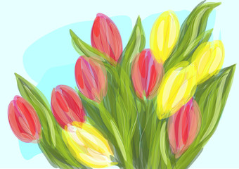 mixed tulip