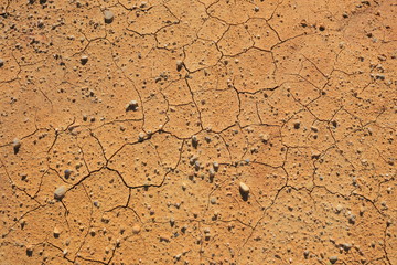 Cracked earth background