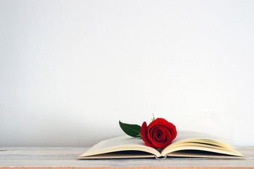An open book with a red rose flower on it. White background