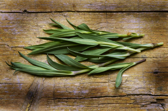 Silene vulgaris Bladder campion Sclopit Смолёвка