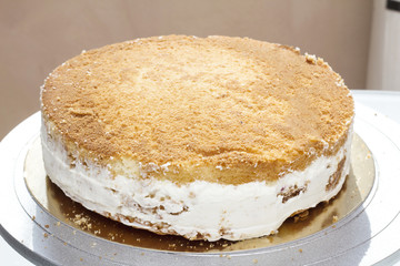 basis for the cake