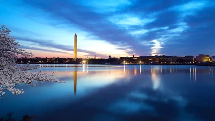 Wall murals American Places Washington Monument at night with cherry blossom