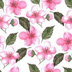 Cherry blossom sakura seamless pattern texture background