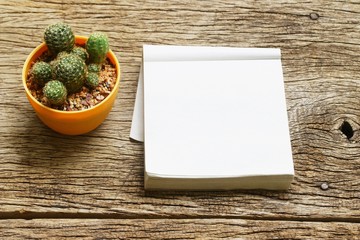 cactus and notepad on wood table