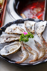 Oysters