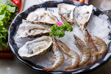 Oysters