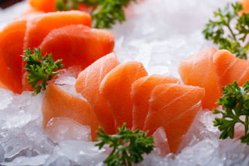Salmon sashimi - japanese food style