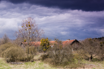 opuszczone gospodarstwo na Warmii © Janusz Lipiński