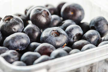fresh blueberries