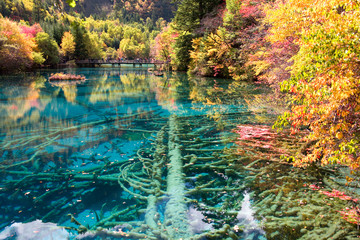 秋の九寨溝・神秘の湖