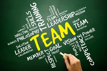 TEAM word cloud, business concept