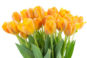 bouquet of  rorange  tulip flowers