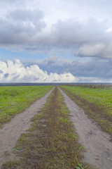 road in a field of rye, storm clouds in the sky, landscape