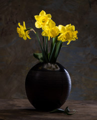 Beautiful daffodils in black vase