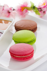 A french sweet delicacy, macaroons variety closeup